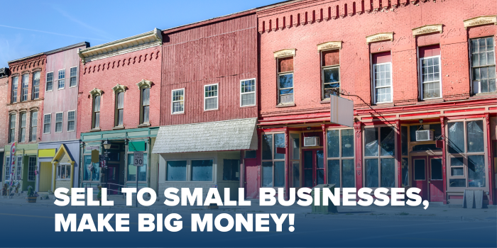 SELL TO SMALL BUSINESSES, MAKE BIG MONEY!